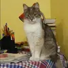 Отзыв от Оля Карасева